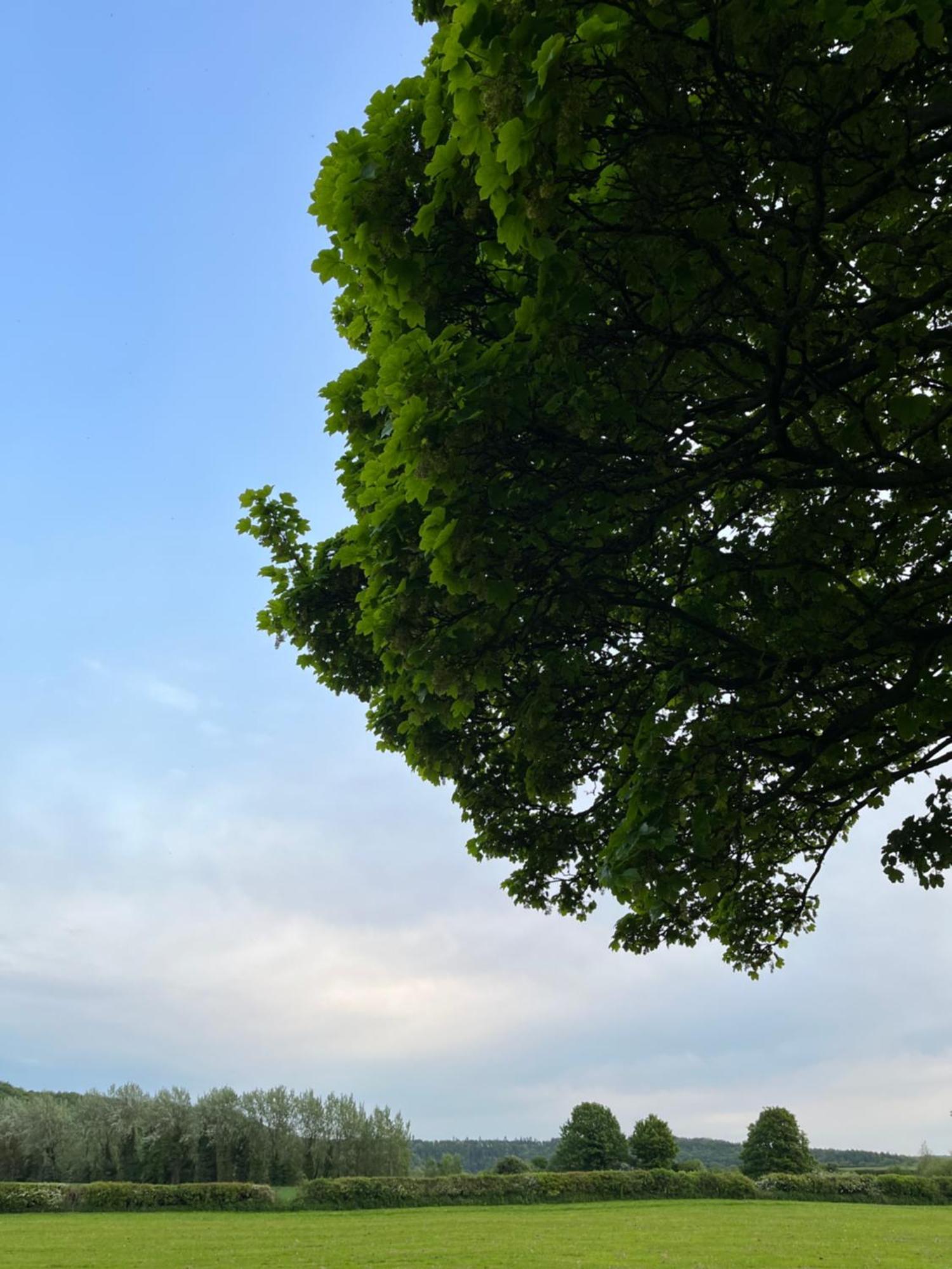 Unbox At Poplar Tree Villa Durham Luaran gambar